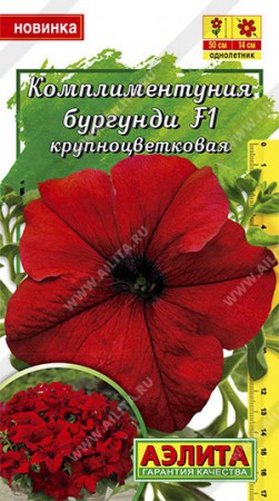 Комплиментуния бургунди F1 крупноцветковая - Сезон у Дачи