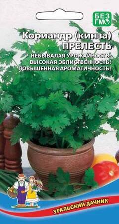 Кориандр (кинза) Прелесть (УД) - Сезон у Дачи
