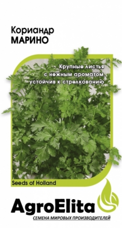 Кориандр Марино (Агроэлита) - Сезон у Дачи