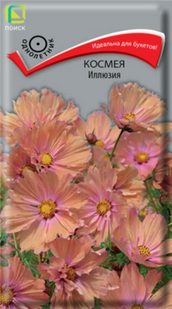 Космея Иллюзия (Поиск) - Сезон у Дачи