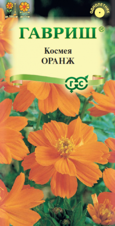 Космея Оранж (Гавриш) - Сезон у Дачи