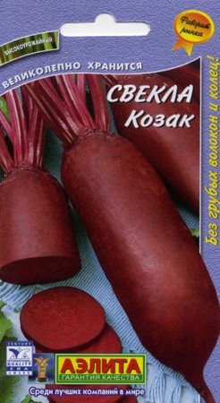 Свекла Козак (Аэлита) - Сезон у Дачи