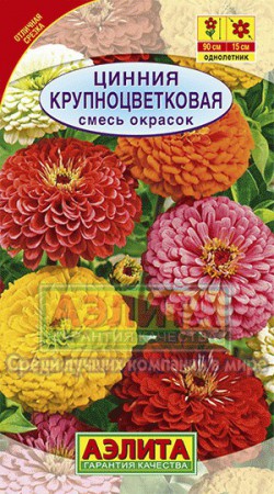 Цинния Крупноцветковая смесь - Сезон у Дачи