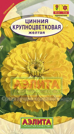 Цинния Крупноцветковая желтая - Сезон у Дачи
