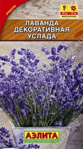 Лаванда Услада (Аэлита) - Сезон у Дачи