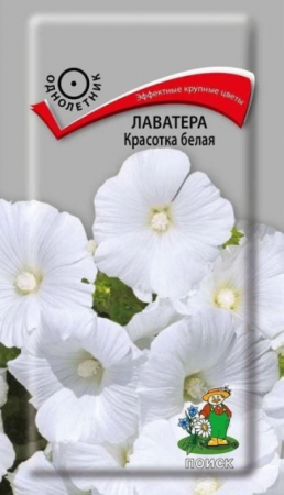 Лаватера Красотка белая (Поиск) - Сезон у Дачи