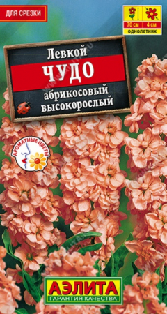 Левкой Высокорослый Чудо абрикосовый (Аэлита) - Сезон у Дачи