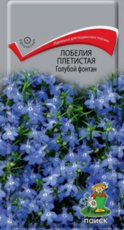 Лобелия Голубой фонтан плетистая (Поиск) - Сезон у Дачи