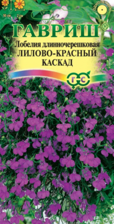 Лобелия Лилово-красный Каскад (Гавриш) - Сезон у Дачи