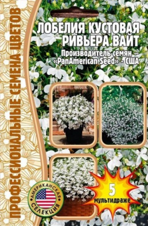 Лобелия Riviera White F1 (ИП Григорьев) - Сезон у Дачи