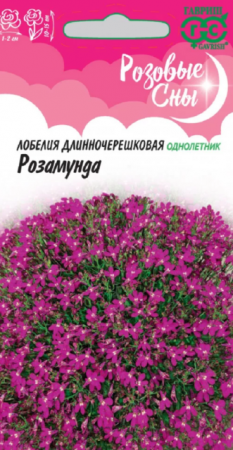 Лобелия Розамунда /Розовые сны (Гавриш) - Сезон у Дачи