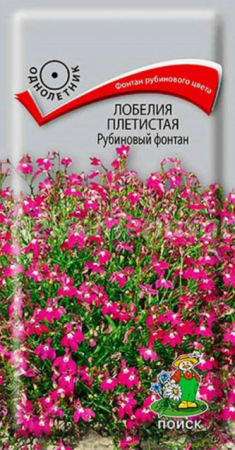 Лобелия Рубиновый фонтан плетистая (Поиск) - Сезон у Дачи