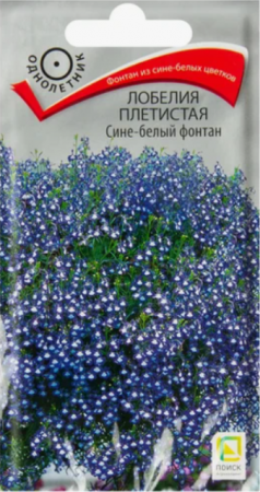 Лобелия Сине-белый фонтан плетистая (Поиск) - Сезон у Дачи