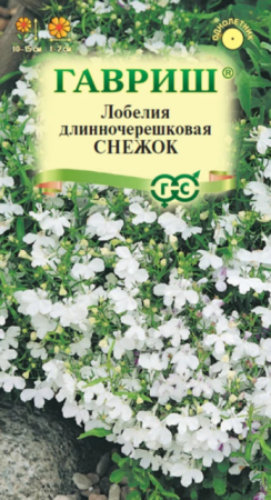 Лобелия Снежок (Гавриш) - Сезон у Дачи