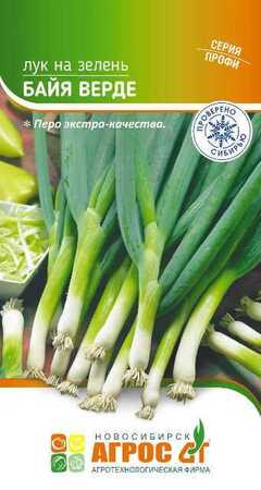 Лук Байя Верде /Seminis (Агрос) - Сезон у Дачи