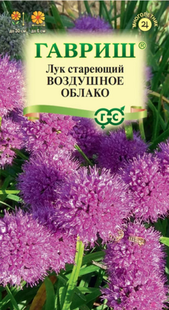 Лук декоративный Воздушное Облако (Гавриш) - Сезон у Дачи