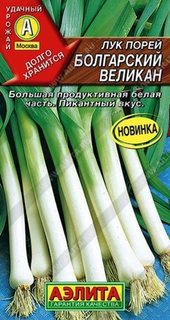 Лук порей Болгарский Великан (Аэлита) - Сезон у Дачи