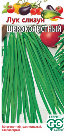 Лук слизун Широколистный (Гавриш) - Сезон у Дачи