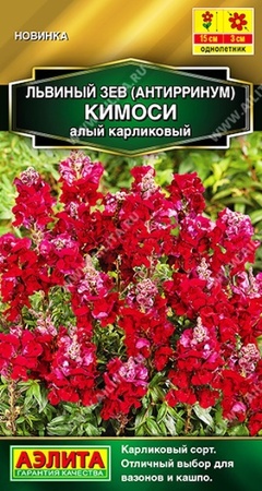 Львиный зев Кимоси Алый карликовый (Аэлита) - Сезон у Дачи