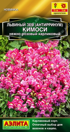 Львиный зев Кимоси Нежно-розовый карликовый (Аэлита) - Сезон у Дачи