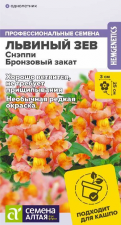 Львиный зев Снэппи Бронзовый закат (СемАлт) - Сезон у Дачи