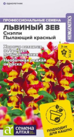 Львиный зев Снэппи Пылающий красный (Сем Алт) - Сезон у Дачи