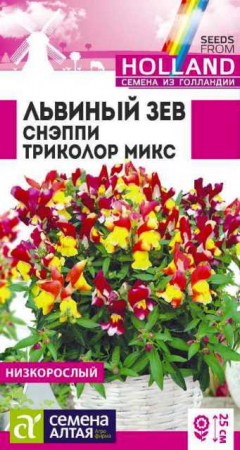 Львиный зев Снэппи Триколор микс 7шт (СемАлт) - Сезон у Дачи