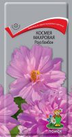 Космея Роуз Бонбон махровая (Поиск) - Сезон у Дачи