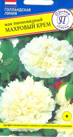 Мак пионовидный Махровый Крем (Престиж) - Сезон у Дачи