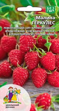 Малина Геркулес (УД) - Сезон у Дачи