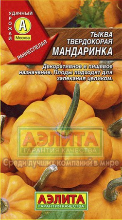 Тыква Мандаринка - Сезон у Дачи
