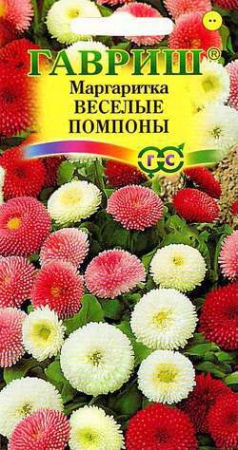 Маргаритка Веселые помпоны - Сезон у Дачи