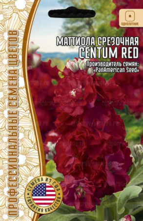Маттиола Centum Red срезочная (Григорьев) - Сезон у Дачи