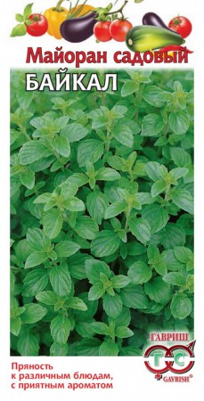 Майоран Байкал (Гавриш) - Сезон у Дачи