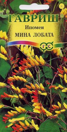 %2025 Ипомея Мина Лобата - Сезон у Дачи