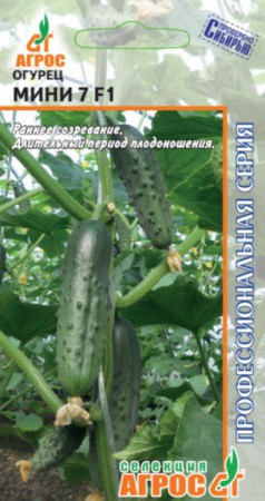 Огурец Мини 7 F1 (Агрос) - Сезон у Дачи