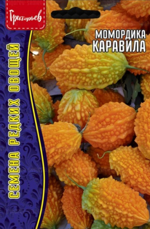 Момордика Каравила (Григорьев) - Сезон у Дачи