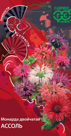Монарда Ассоль /Пряности и страсти (Гавриш) - Сезон у Дачи