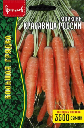 Морковь Красавица России (Григорьев) - Сезон у Дачи