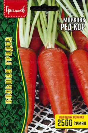 Морковь Ред Кор (Григорьев) - Сезон у Дачи