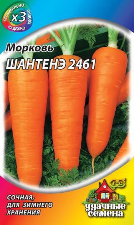 Морковь Шантенэ 2461 /МЕТАЛЛ (Г) - Сезон у Дачи