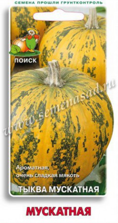Тыква Мускатная (Поиск) - Сезон у Дачи