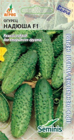 Огурец Надюша F1 - Сезон у Дачи