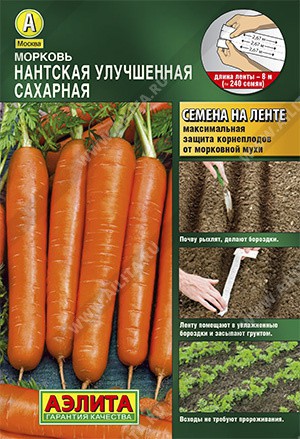Морковь Нантская улучшенная сахарная /лента 8м (А) - Сезон у Дачи