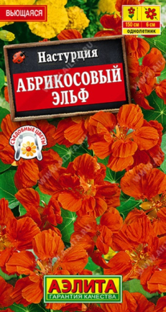 Настурция Абрикосовый эльф (Аэлита) - Сезон у Дачи