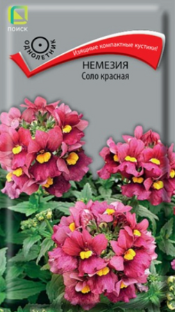Немезия Соло красная (Поиск) - Сезон у Дачи