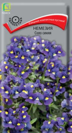 Немезия Соло синяя (Поиск) - Сезон у Дачи