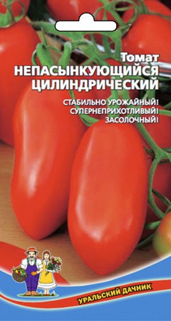 Томат Непасынкующийся цилиндрический - Сезон у Дачи