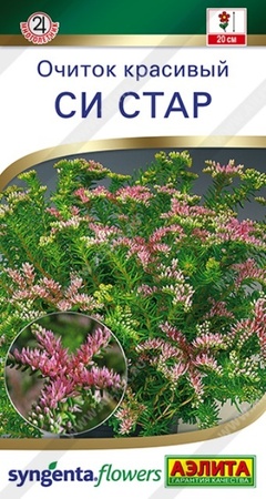 Очиток красивый Си Стар (Аэлита) - Сезон у Дачи