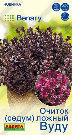 Очиток (Седум) ложный Вуду (Аэлита) - Сезон у Дачи